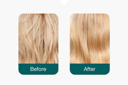 SCALP BRUSH