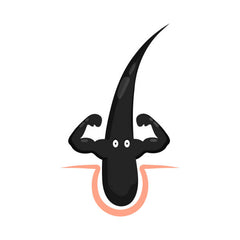 Icon 3